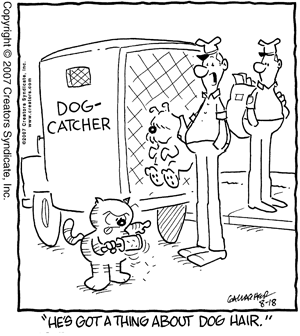 heathcliff